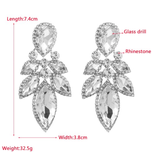 Fashion Jewelry Rhinestone Earrings For Women YWHME-779