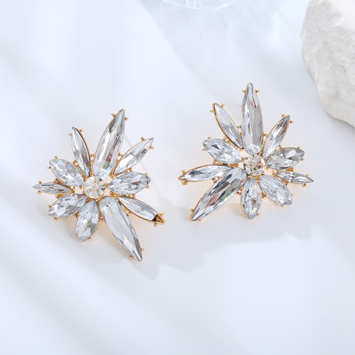 Fashion Jewelry Rhinestone Earrings For Women YWHME-876