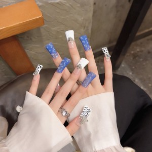 Fashion Long Handmade Press-On Nails For Women BVNL-116 