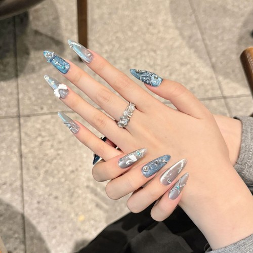 Fashion Long Handmade Press-On Nails For Women BVNL-23