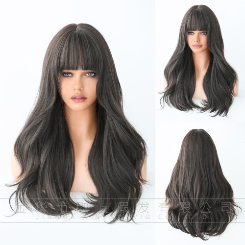 Fashion Long Synthetic Wigs For Women SLDLH-13