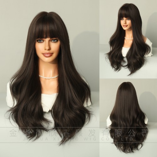 Fashion Long Synthetic Wigs For Women SLDLH-33