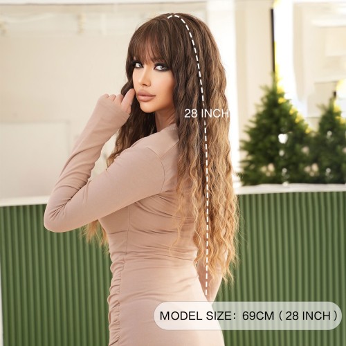 Fashion Long Synthetic Wigs For Women SLDLH-43