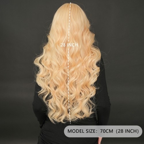 Fashion Long Lace Front Synthetic Wigs For Women SLDNA-13